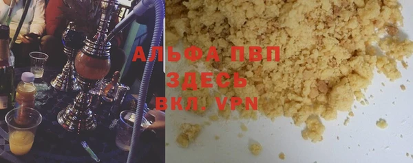 индика Бородино