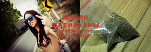 индика Бородино
