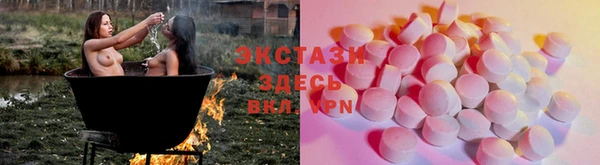 индика Бородино