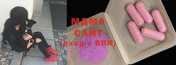 индика Бородино