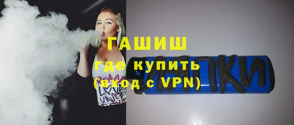 индика Бородино