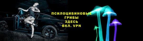 индика Бородино
