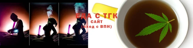 индика Бородино
