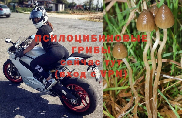 винт Бугульма