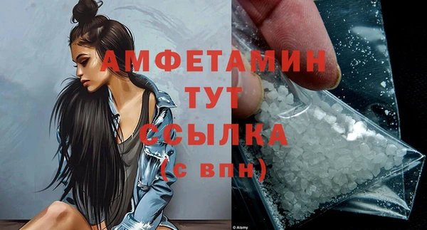индика Бородино