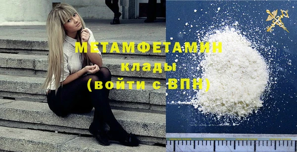 индика Бородино
