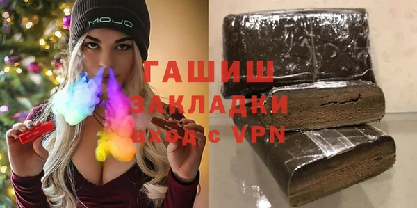 индика Бородино