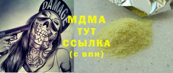 индика Бородино