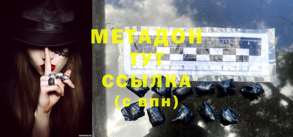 индика Бородино