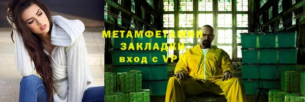 индика Бородино