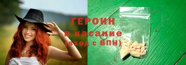 индика Бородино