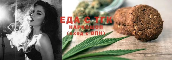 индика Бородино