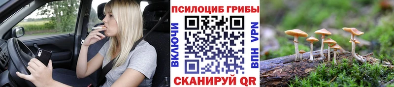Псилоцибиновые грибы GOLDEN TEACHER  Купить где  Солигалич 